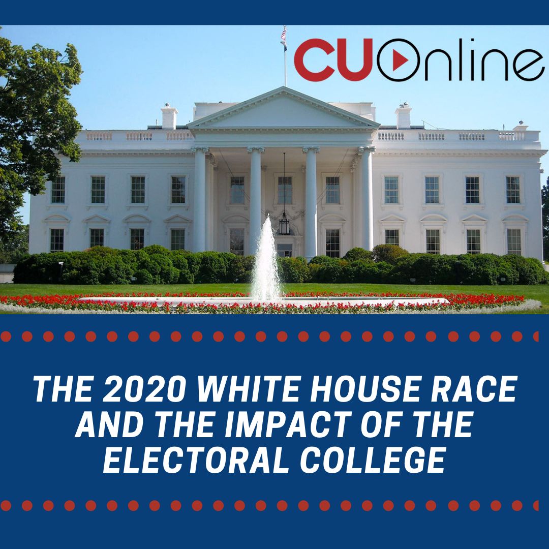 poster for 2020 election webinar